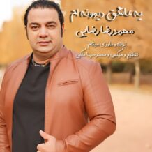 آهنگ جدید محمدرضا رضایی به نام یه عاشق دیوونه ام